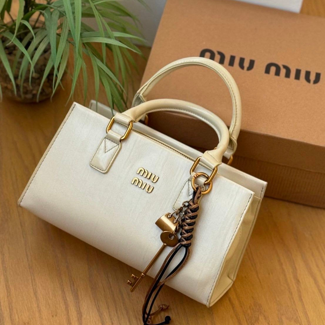 Miu Miu D